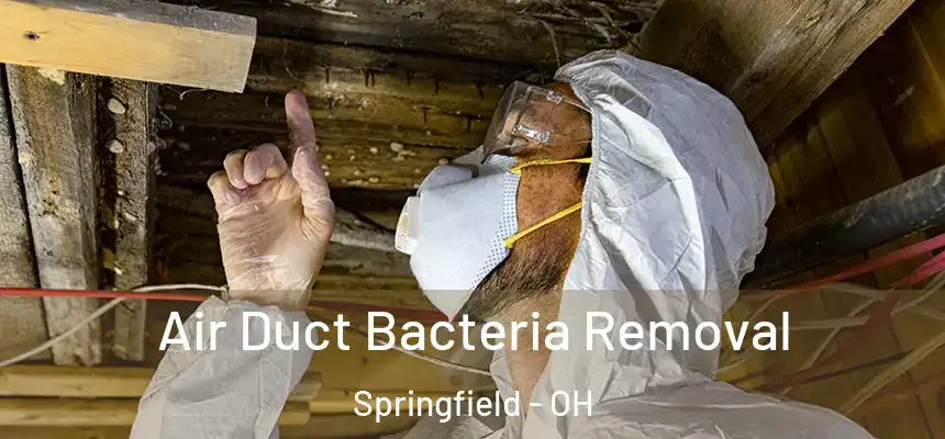  Air Duct Bacteria Removal Springfield - OH