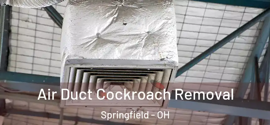  Air Duct Cockroach Removal Springfield - OH