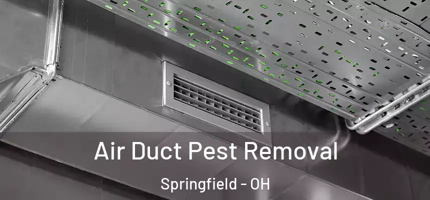  Air Duct Pest Removal Springfield - OH