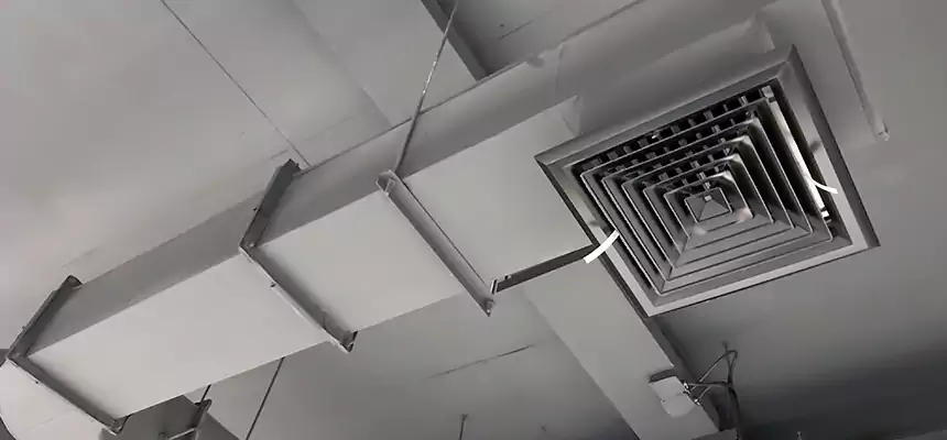 Our Pest Removal From Ducts Services in Springfield, OH