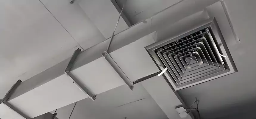 Our Rodent Droppings In Vents Services in Springfield, OH