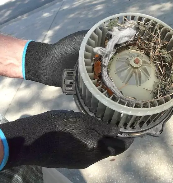 About Air Duct Mice Removal in Springfield, OH