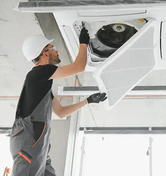 About Air Duct Rodent Removal in Springfield, OH